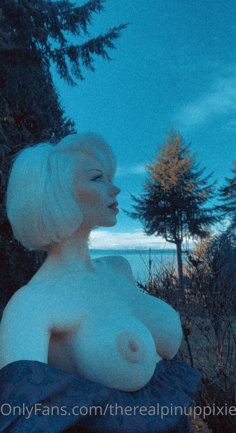 Pinuppixie