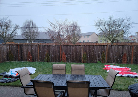 Brittany Elizabeth Welsh