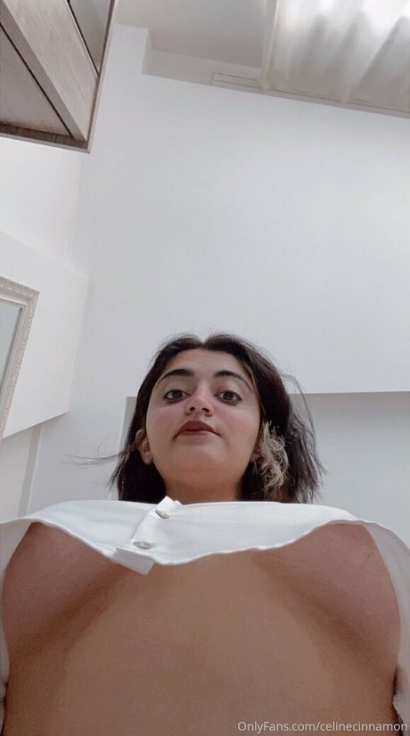The Celine Cinnamon