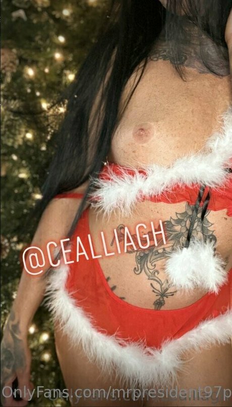 Mrpresident97promotion