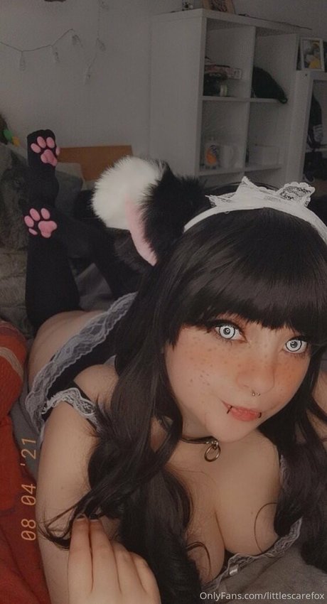 Littlescarefox