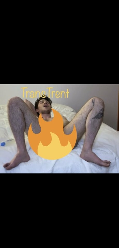 Transtrentfree