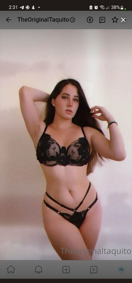 The Original Taquito