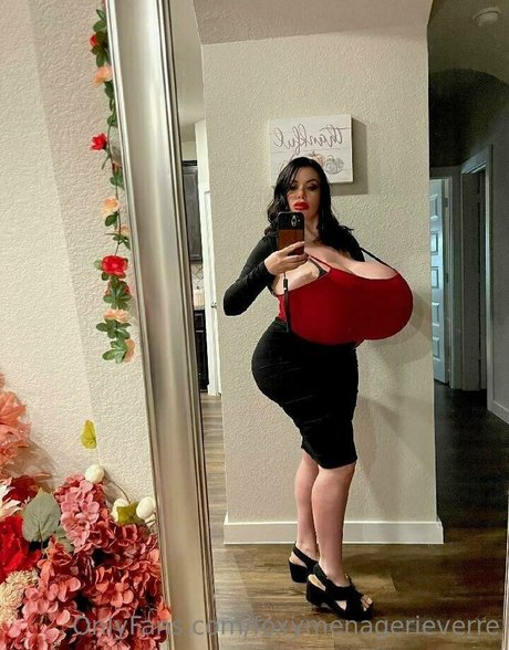 Foxy Menagerie Verre