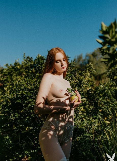 Jessica Lynette Brooks