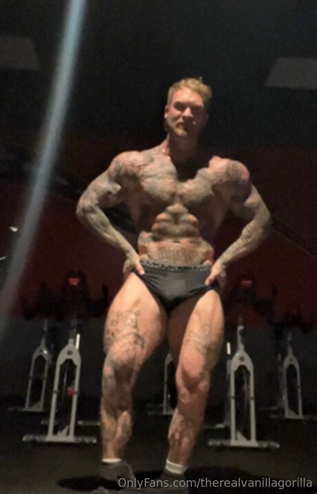 Therealvanillagorilla