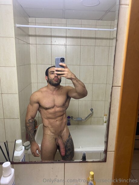 Trojanhorsecock9inches