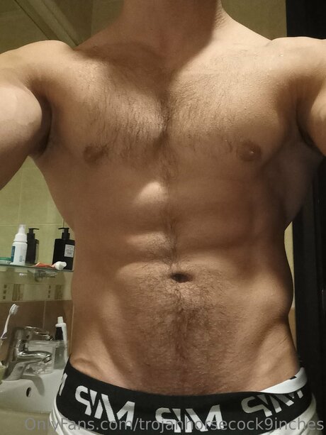 Trojanhorsecock9inches