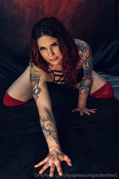 Lilyspleasuregardenfree1