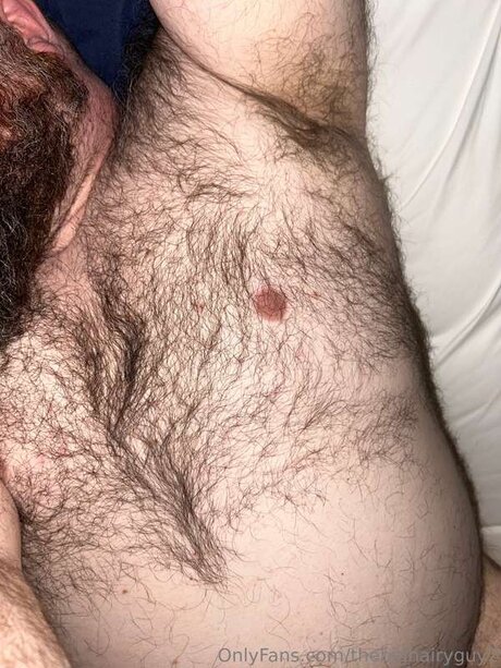 Thebighairyguy2