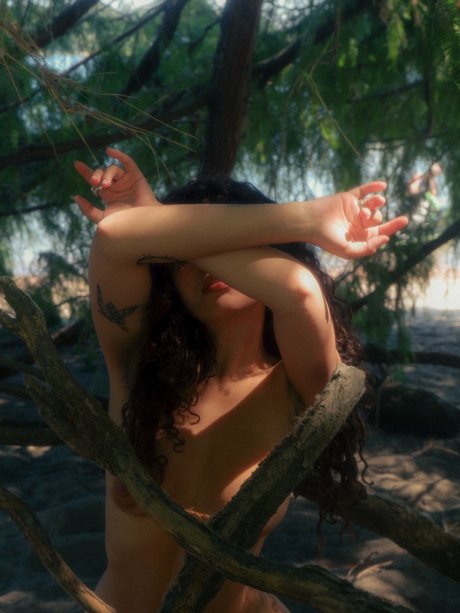 Spicymarii Lilfairymari