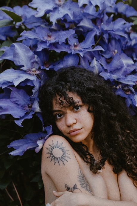 Spicymarii Lilfairymari