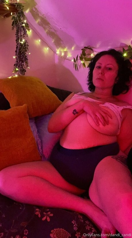 Dandicandi