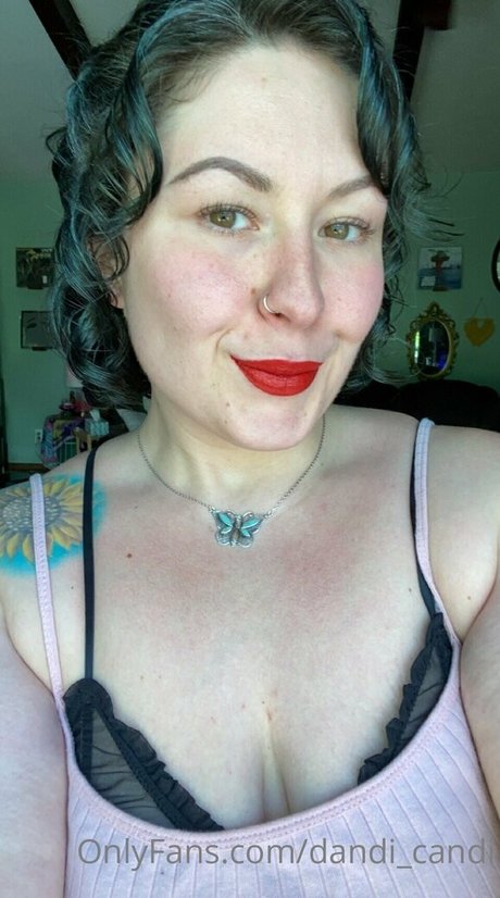 Dandicandi
