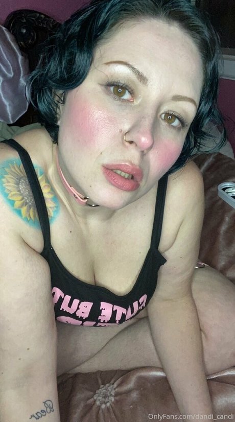 Dandicandi