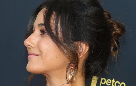 Emmanuelle Chriqui
