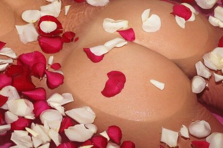 Southerncharms Reese