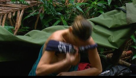 Ich Bin Ein Star  Holt Mich Hier Raus