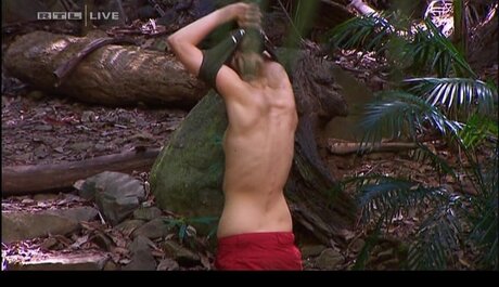 Ich Bin Ein Star  Holt Mich Hier Raus