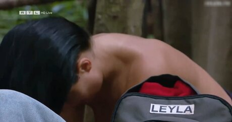 Ich Bin Ein Star  Holt Mich Hier Raus