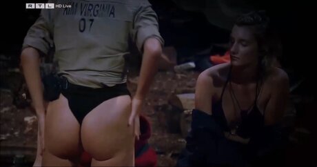 Ich Bin Ein Star  Holt Mich Hier Raus