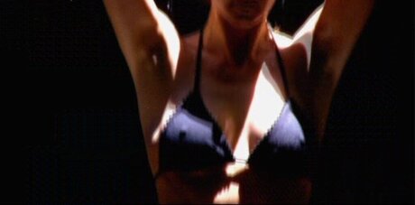 Ich Bin Ein Star  Holt Mich Hier Raus