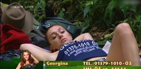 Ich Bin Ein Star  Holt Mich Hier Raus