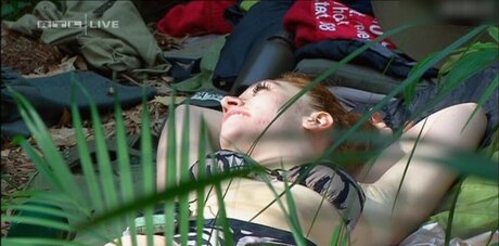 Ich Bin Ein Star  Holt Mich Hier Raus