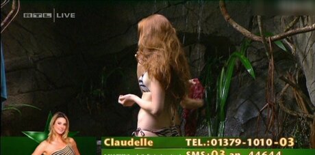 Ich Bin Ein Star  Holt Mich Hier Raus