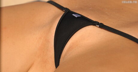 Microminimus Amp Wicked Weasel Models