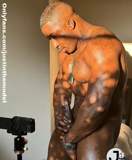 Justinthemodel