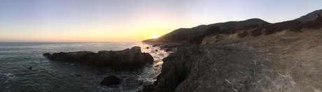 Raymond Navarro Rexannosaurus Rex