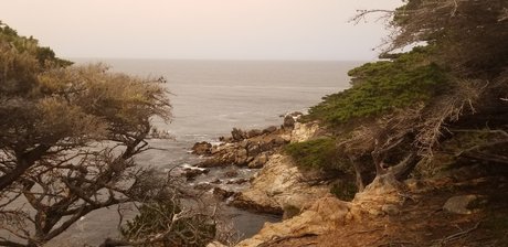 Ryanampampruths Married Life