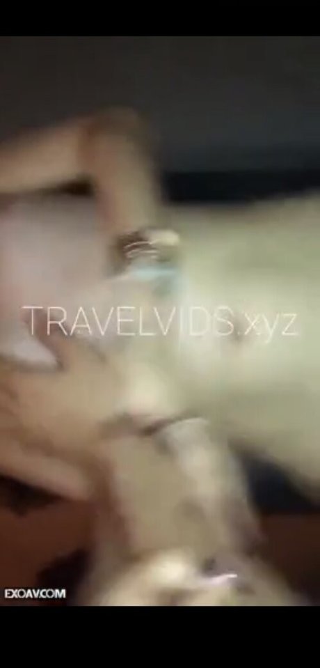 Travelvids Xyz