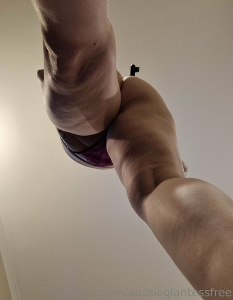 Aussiegiantessfree
