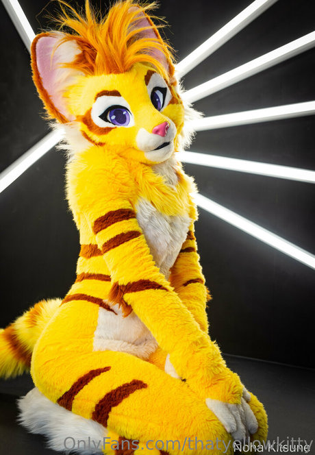 Thatyellowkitty