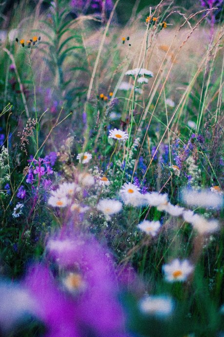 Leslieevelynx3  nude leaked OnlyFans photo