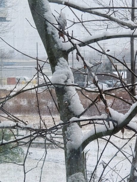 Norway  nude leaked OnlyFans photo