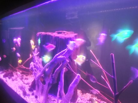 Walacreative  nude leaked OnlyFans photo