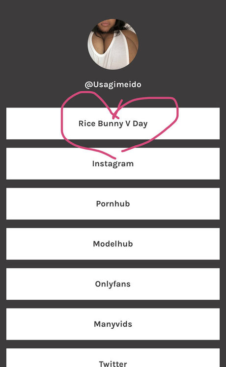 Ricebunny