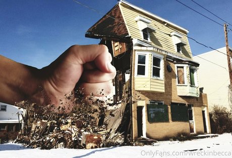 Wreckinbecca