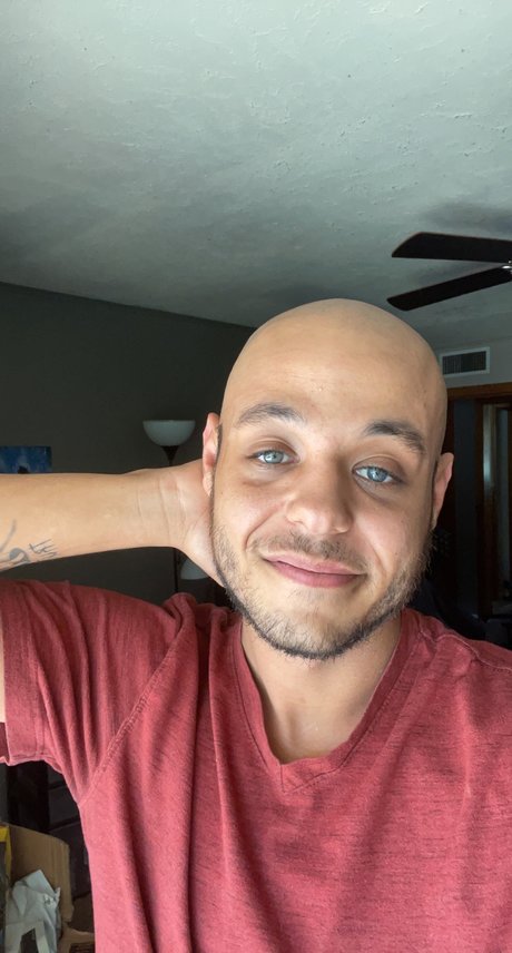 Your New Mister Free Of