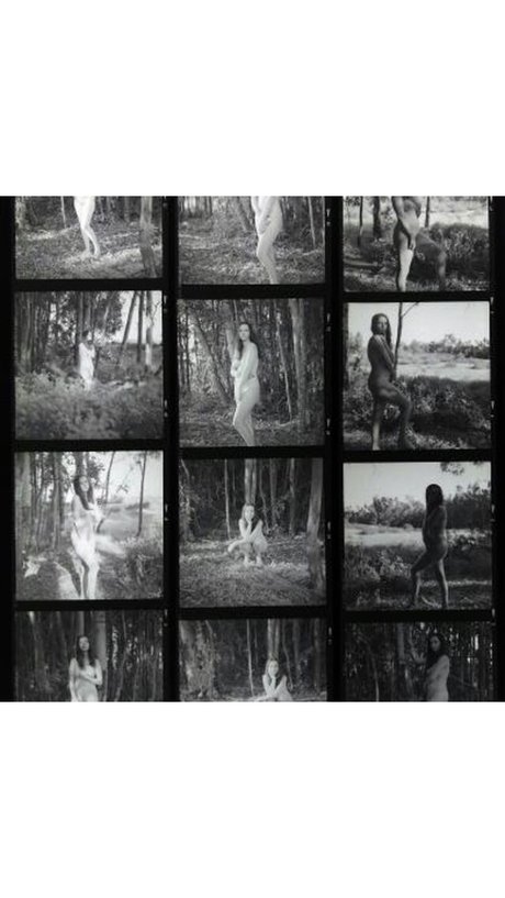 The Naked Bookclub  nude leaked OnlyFans photo