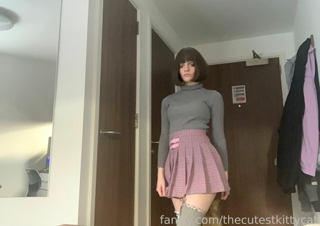 Thecutestkittycat