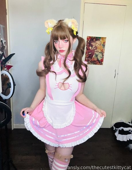 Thecutestkittycat