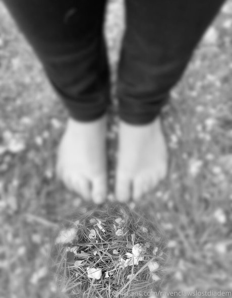 Ravenclawslostdiadem