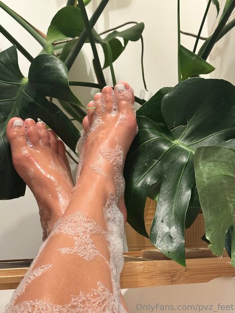 Pvz Feet