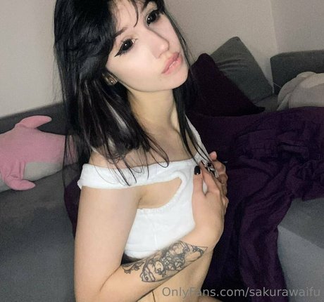 Sakurawaifu
