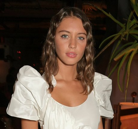 Iris Law