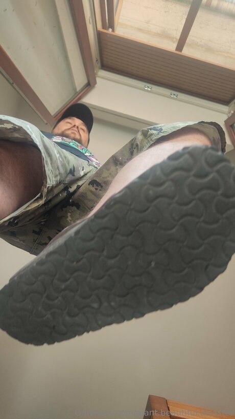 Giant Beautiful Disaster